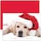 JAM Paper Santa Puppy Blank Christmas Cards Set, 18ct.